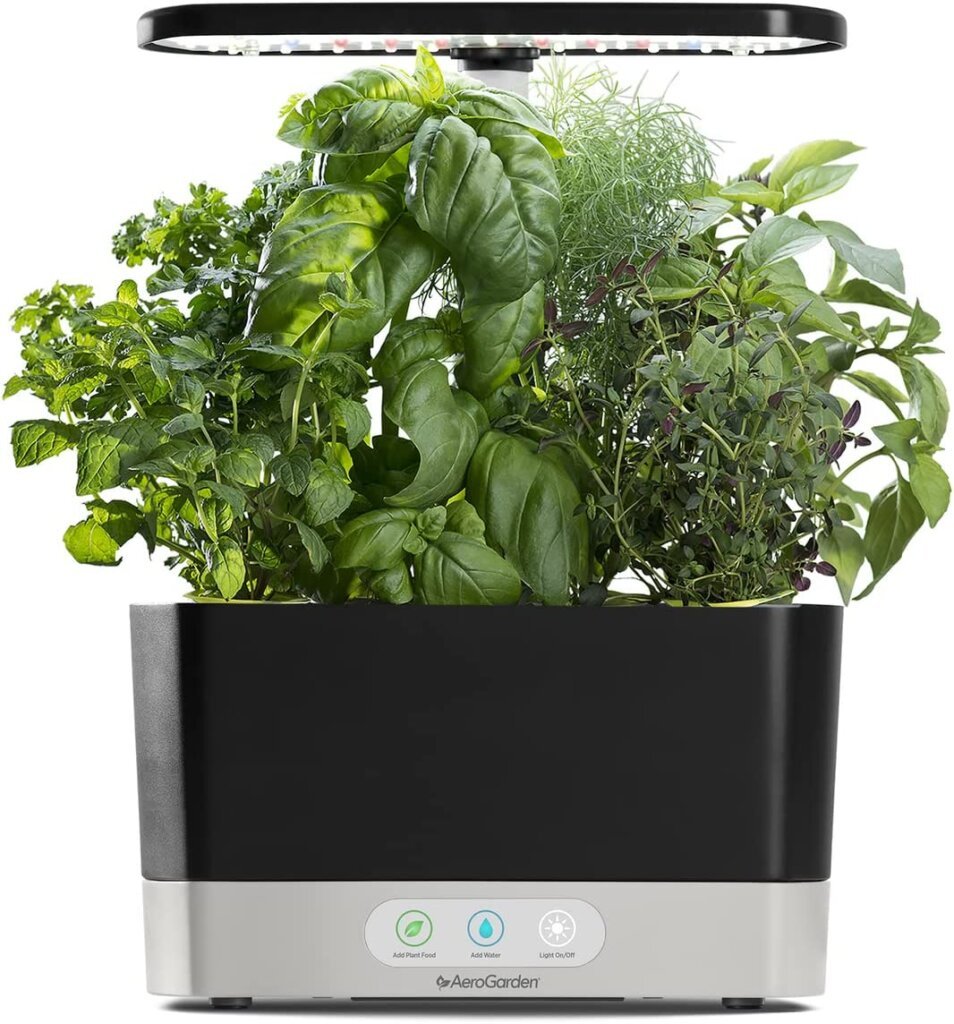 Hydroponic indoor garden